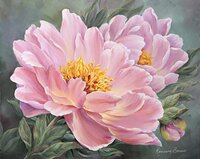 peony glow.JPG