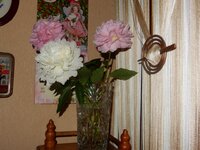 2017-07-02 17-37-46.jpg