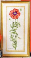 1245427361_botanical-poppy-anchor1.jpg