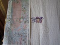 Павлин от Анкор. Начало..jpg