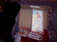 Изображение 299.jpg