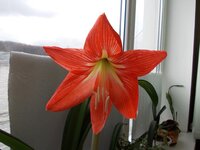 рисунок 002.jpg