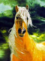 ecx51311 Златогривая лошадь.jpg