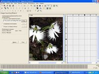 Без имени-1копирование.jpg