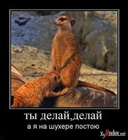 1253612795_demotivators_51.jpg