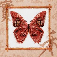 МВ-002 Морфо амфитрион.JPG