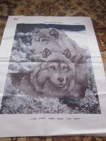 Изображение 486.jpg