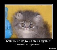 1261502924_hiop.ru_demotivator-060.jpg