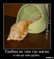 1263407898_hiop.ru_demotivator-240.jpg