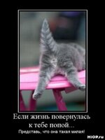 1264013409_hiop.ru_demotivator-020.jpg