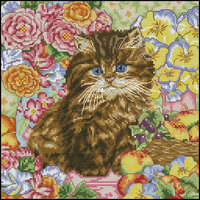 DMC K4178 Fluffy.jpg