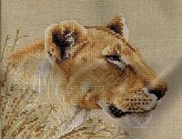 CS2007-183 Safari Animals - Lion.jpg