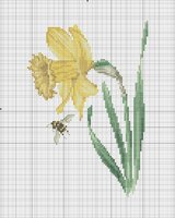 TG 1087 Daffodil.jpg