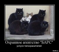 1268377174_hiop.ru_demotivator-200.jpg