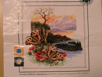 RTO. Бабочка Крапивница.jpg