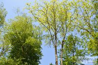 357383-8e0a7-78396998-m750x740-u3a846 (1).jpg