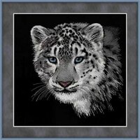 94_100-022 Снежный барс.jpg