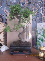 Изображение 496.jpg