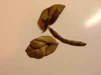 2016-01-30 19-35-08.jpg