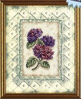 Dimensions06849 Hydrangea Cutting.jpg