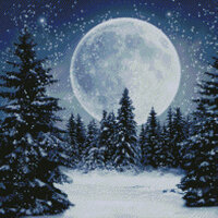 9875 Winter Moon Cross-stitch КУСТОМ КРАФТС.jpg