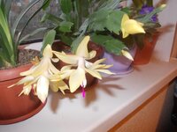 Изображение 071.jpg