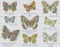 Butterfly sampler с текстом.jpg