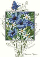 васильки, ромашки.jpg