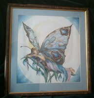 3. Бабочка-эльф. Ночь..jpg