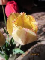 Изображение 2607.jpg