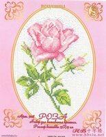 розовая роза.jpg