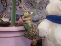 Изображение 903.jpg