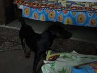 Изображение 052.jpg