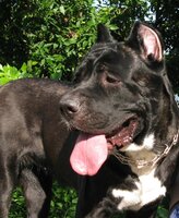 Копия (2) IMG_5331.JPG