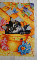 Trellis  Kitty.JPG