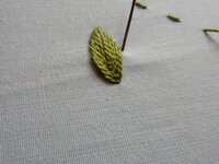 2017-06-01 14-16-44.jpg