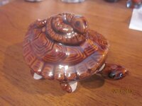 Изображение 535.jpg