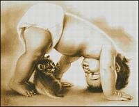 Мостик для котенка.jpg