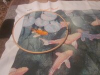 Изображение 578.jpg