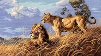 561African Lions.jpg