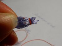 2016-01-19 16-57-50.jpg