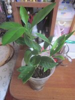 Изображение 33234.jpg