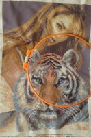 тигр10-01.jpg