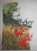 Ru-sana Маковое поле от Anchor 13.01.2012.jpg