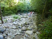 Свирское 12 (2).jpg