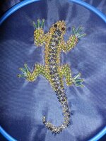 Ящерка 12.05.13.jpg