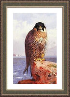 леврон (3).jpg