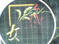 TaYaStar колибри 01.JPG