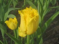 Изображение 31577.jpg