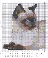 Сиамская кошка (1).jpg